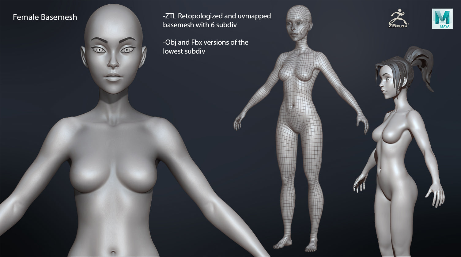 Female Basemesh 3D Model