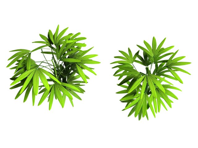Mount Cliff – Small Plant 04 3D Model