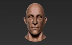 Male Half-Elf Bust Low Poly 3D Model 3D Model