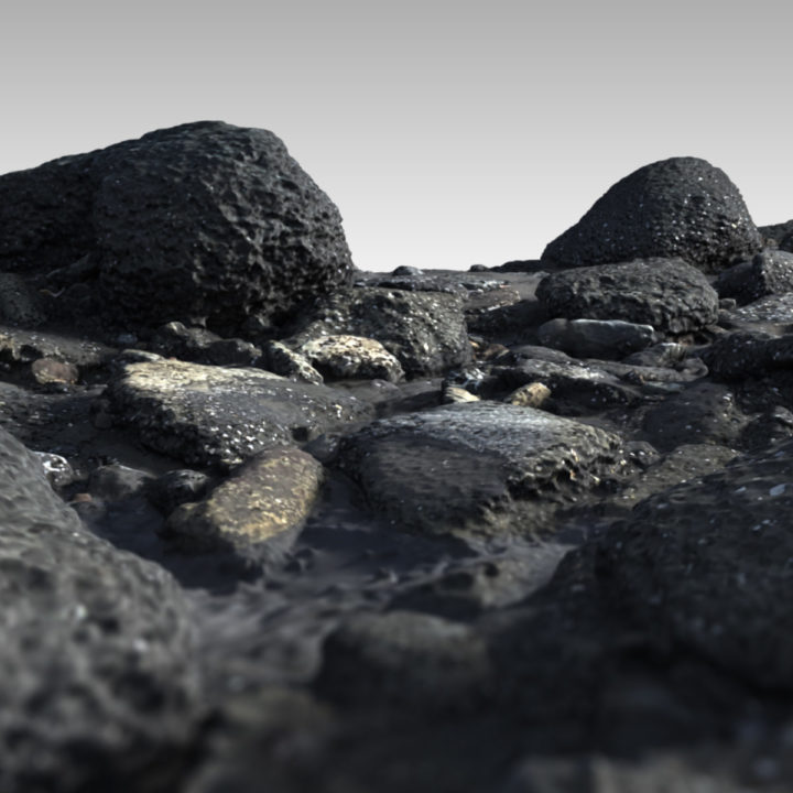 3D 3D Scan Coral Rock 3D Model