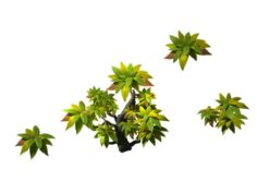 Small shrub 61 3D Model