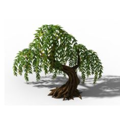 Peach Blossom Island – Plant – Willow 02 3D Model