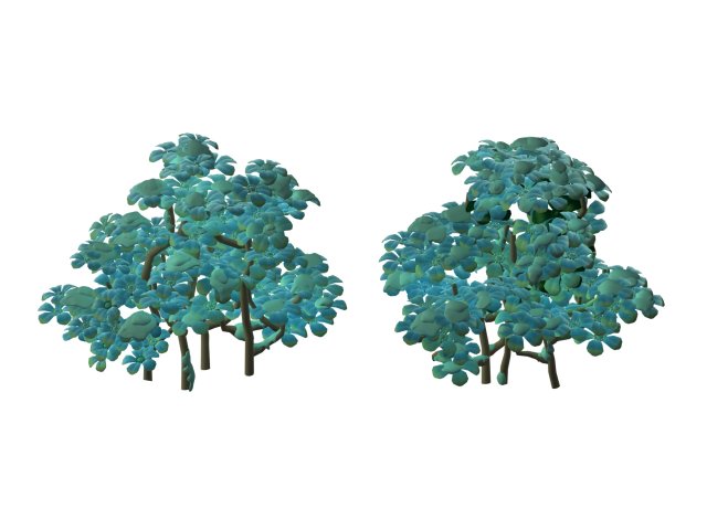 Snow plant – flowers 63 3D Model