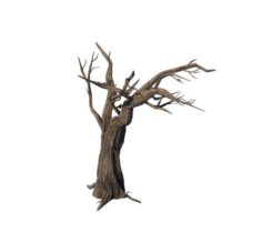 General Plant – Trees 05 3D Model