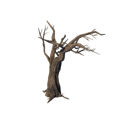 General Plant – Trees 05 3D Model