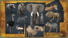 WILD AFRICA PACK 3D Model