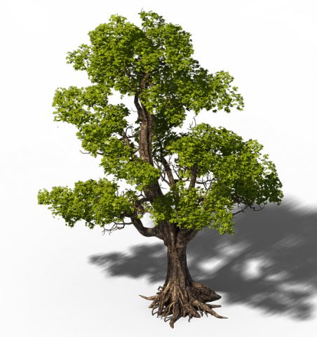 Plant – Windy Grassland Trees 03 3D Model