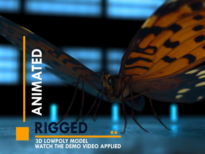 3D Butterfly 3D Model