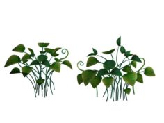 Cartoon forest – tree sea plant 01 3D Model