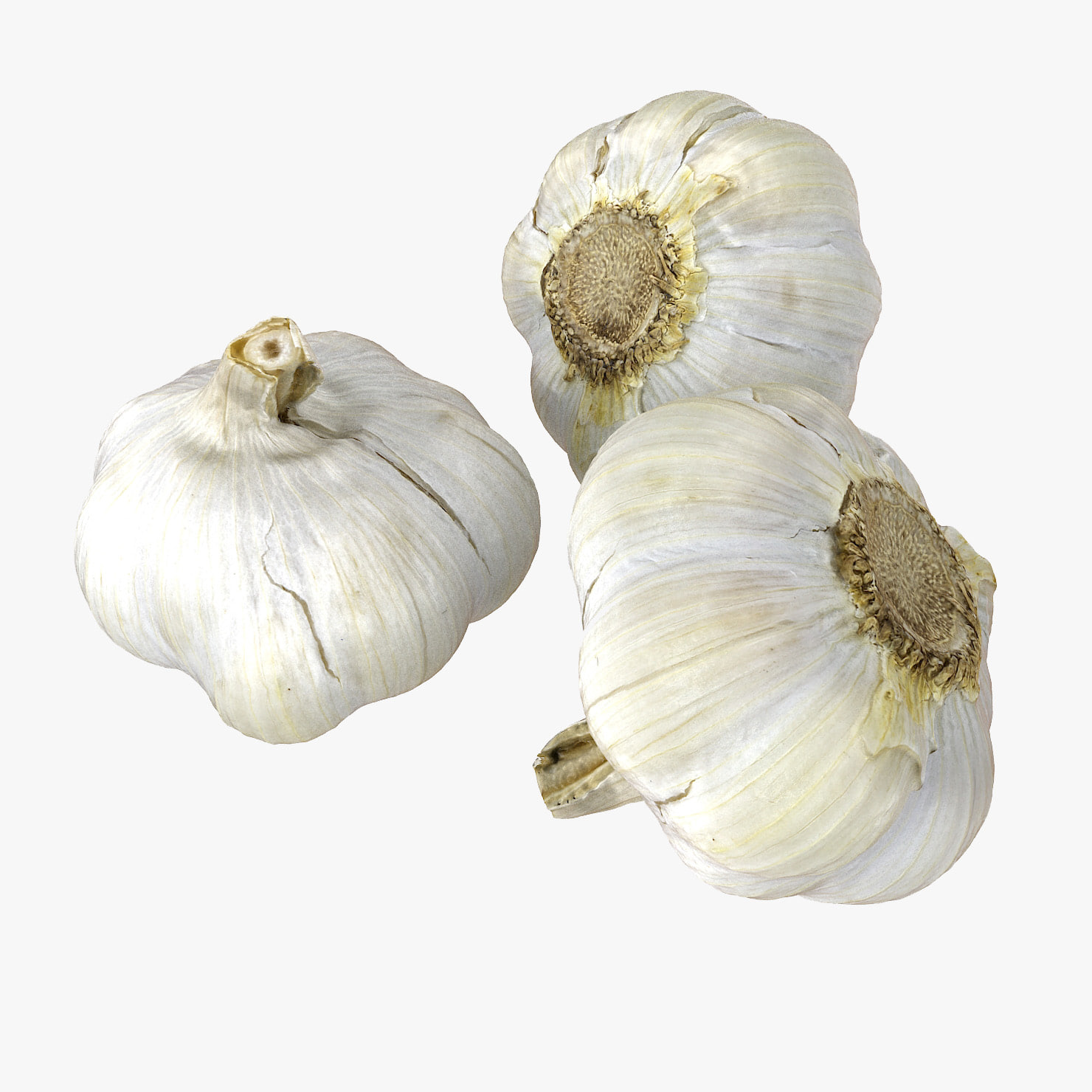 Realistic Garlic Head 3D Model