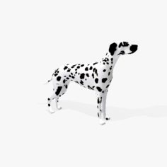 Dalmatian Dog 3D 3D Model