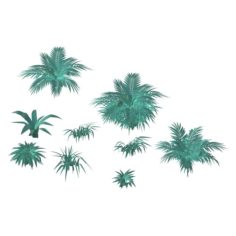 Snow plant – flowers 62 3D Model
