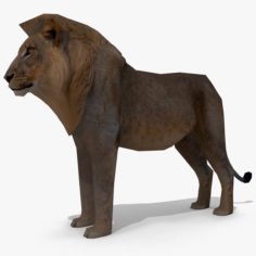 LowPoly Lion 3D model 3D Model