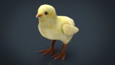 Chicken Gun- Very Big Pack - Download Free 3D model by makskolot7  (@makskolot7) [ff059a7]