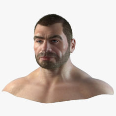 3D Male Head 1 3D Model