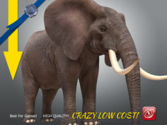 Elephant maleA T-pose 3D Model