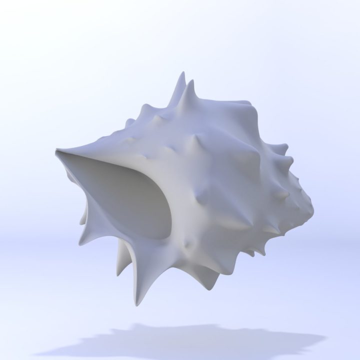 Seashell Animal 3D model 3D Model