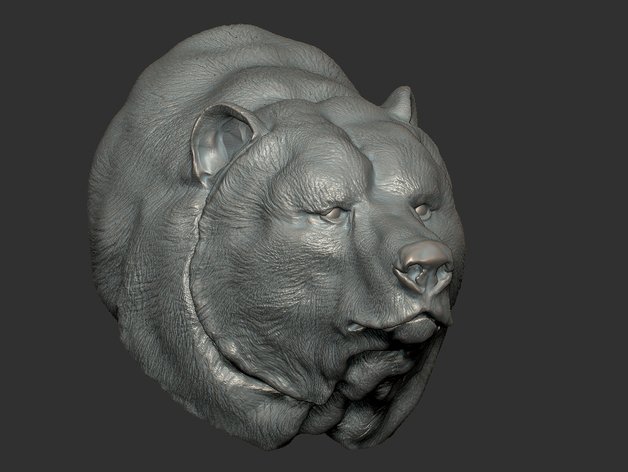 The head of the bear 3D Model