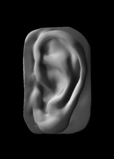 Human Nice Ear 3D 3D Model