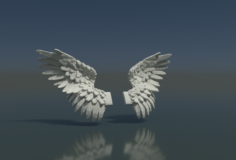 Wings 3D Model