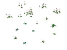Game Plants – Flowers 271 3D Model