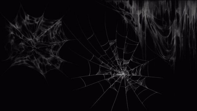 Spider web 3D Model