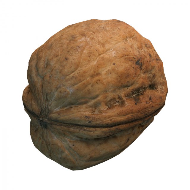 Nut 3D Model