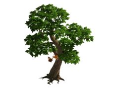 Mount Cliff – Tree 03 3D Model