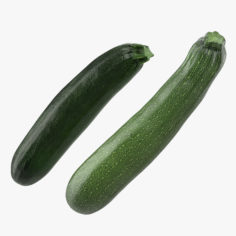 Zucchini Vegetable Collection 3D Model