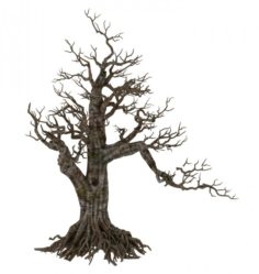 Plant – wind are grass dead tree 06 3D Model