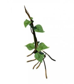 Big Trees – Big Vines 02 3D Model