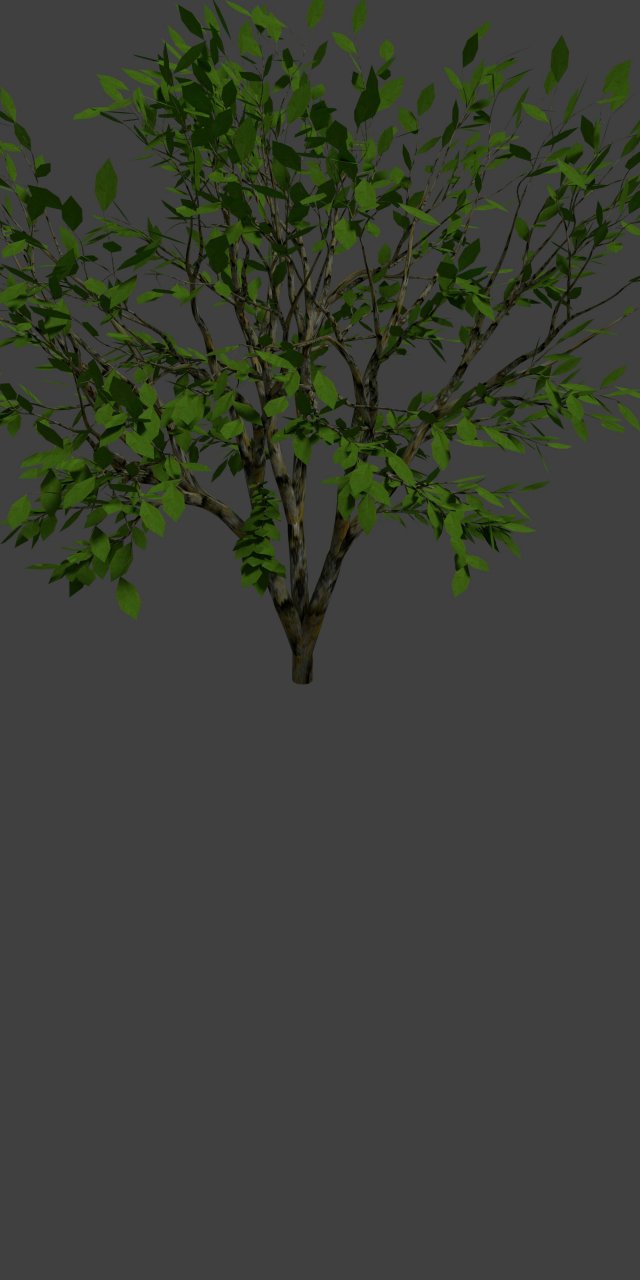 Wood Free 3D Model