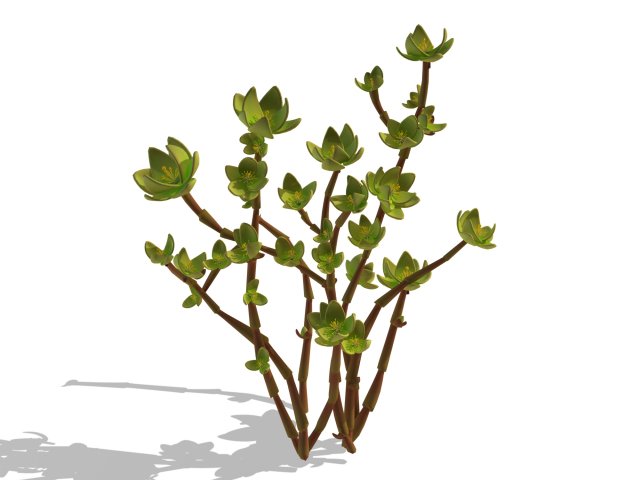Mount Cliff – Small Plant 02 3D Model