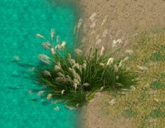 Lakeside Plants – Reed 05 3D Model