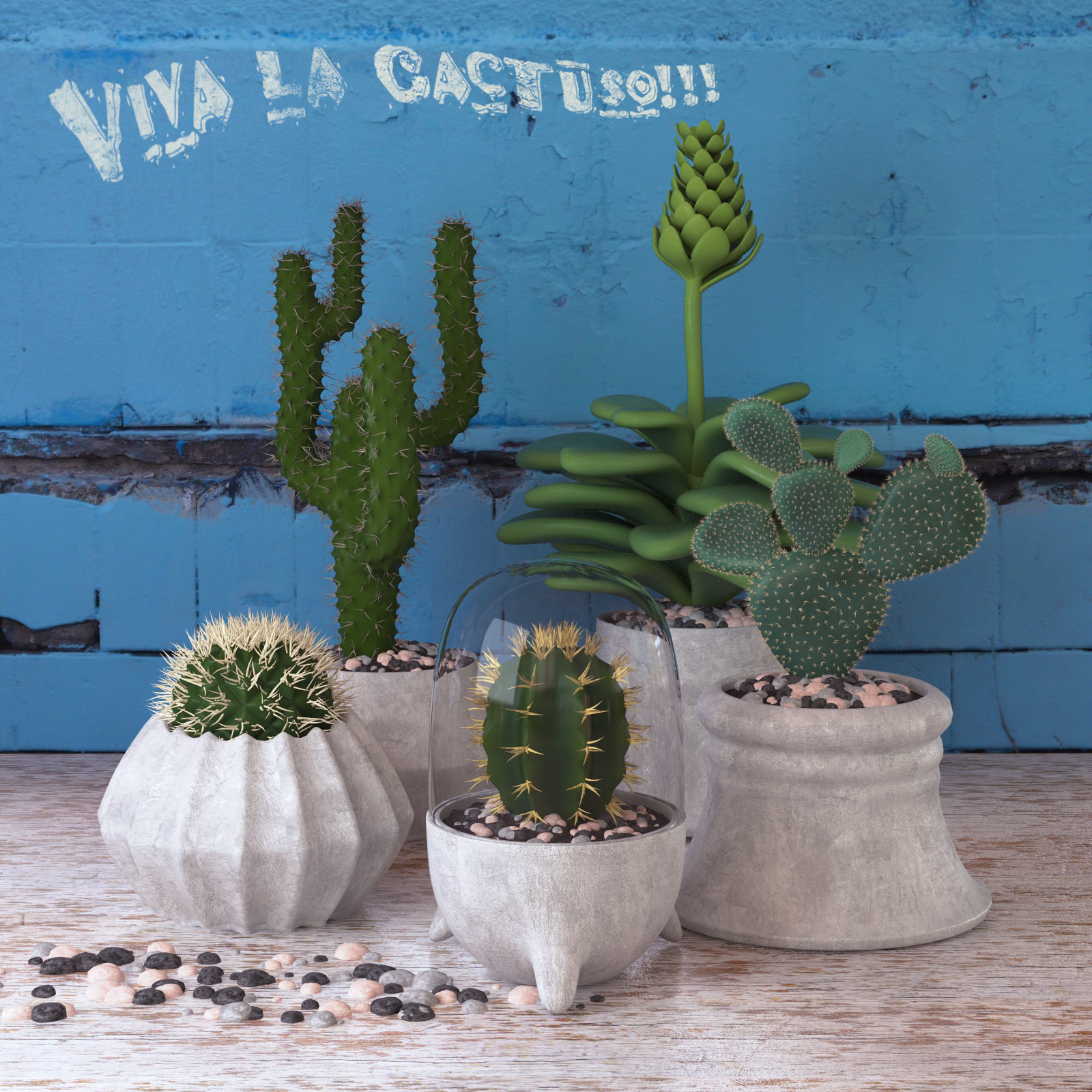 Cactus Set model 3D Model