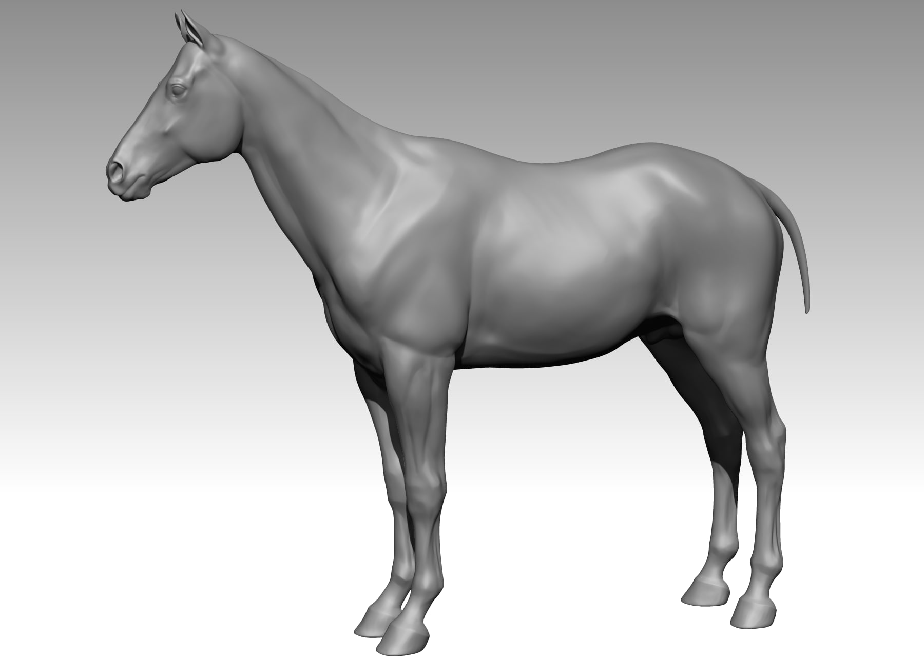 Horses model. Лошадь референс для 3д. Лошадь модель 3d RFA. Лошадь в збраш. Horse STL 3d rfee.