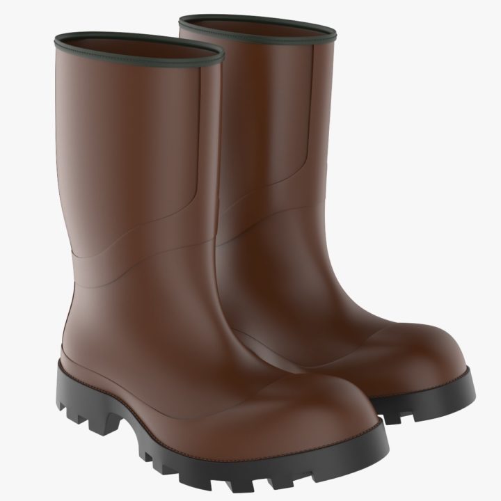 Boots 3D model 3D Model