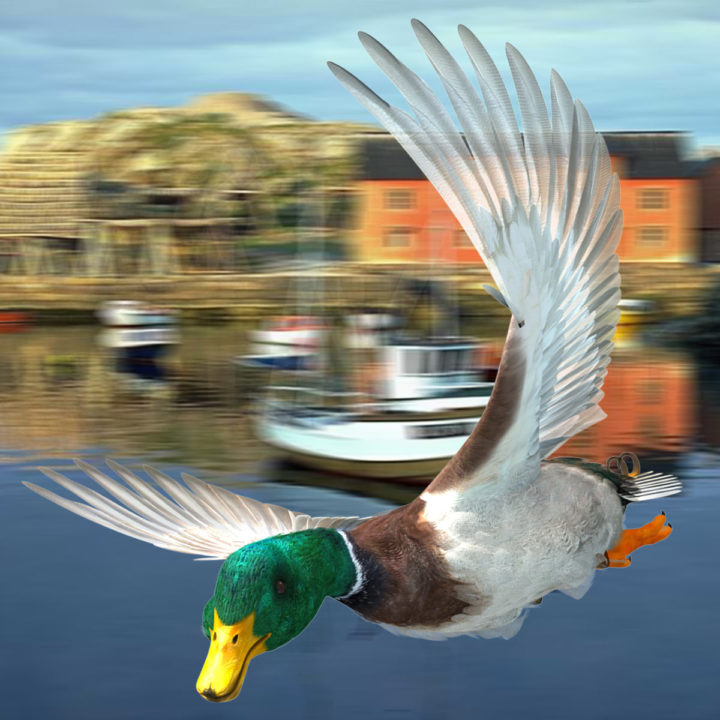 Mallard Duck 3D 3D Model