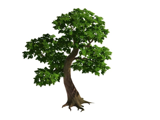 Moli Cliff – Tree 01 3D Model