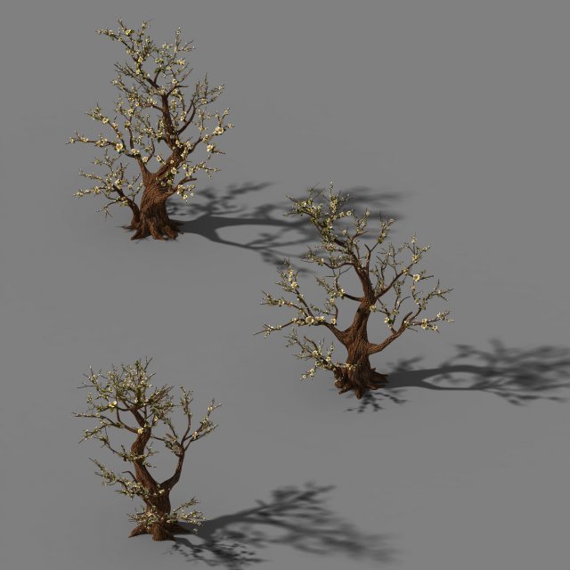 Peach Blossom Island – Plant – Big Trees 02 3D Model