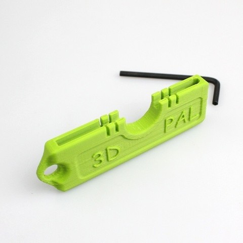 3D Printer Pal Keyring 3D Print Model