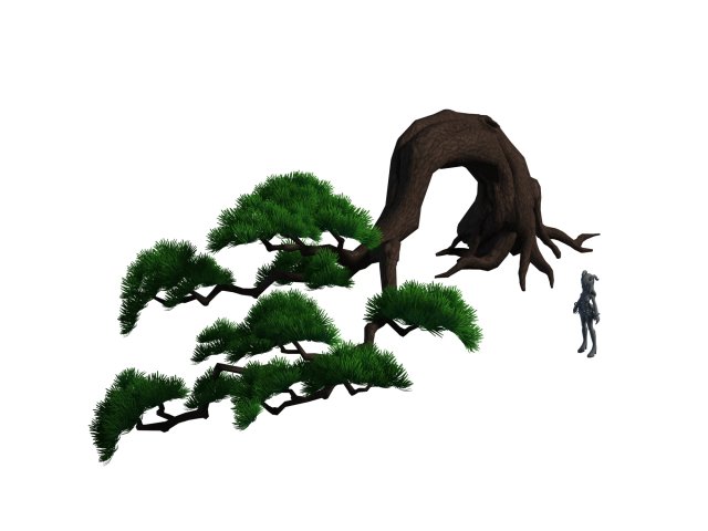 Cartoon Forest – Big Pine 06Trees 03 3D Model