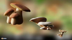 Game ready PBR Mushrooms SET 1 3D Model