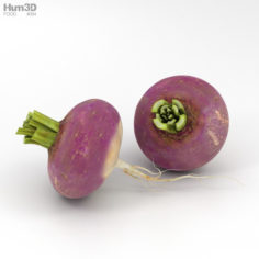 Turnip 3D Model