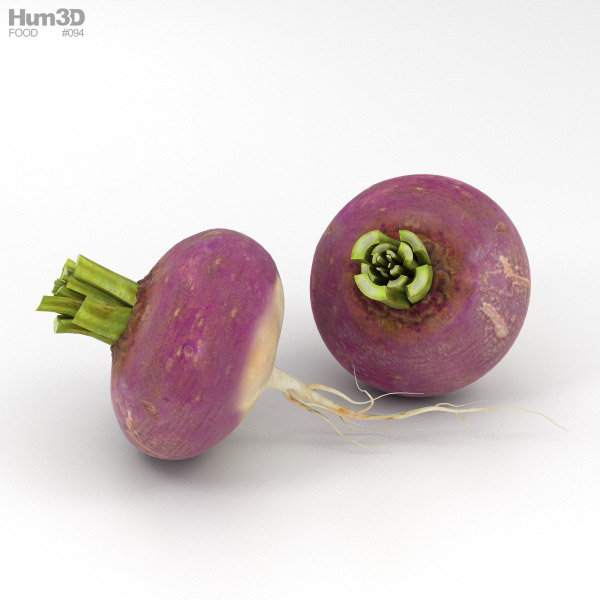 Turnip 3D Model