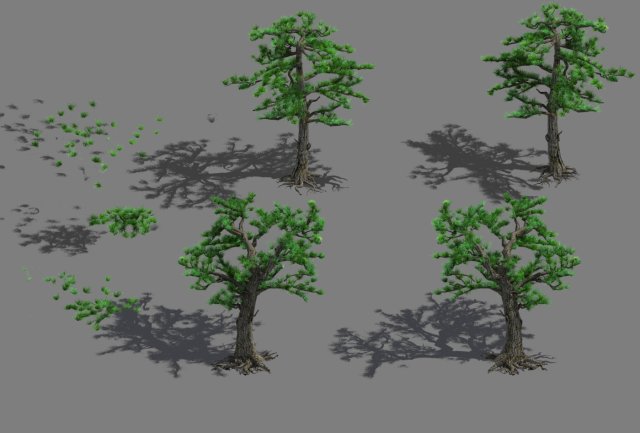 Welcoming pine 043 3D Model