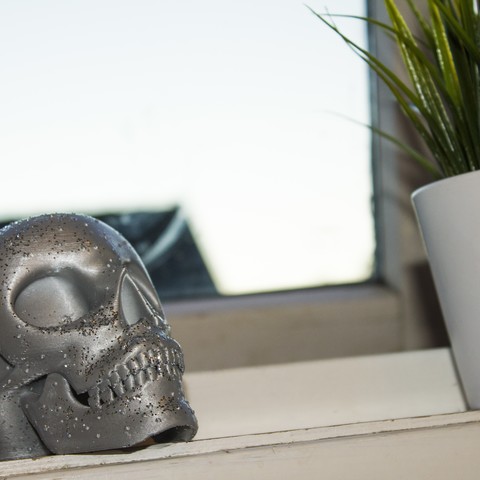 Skull 3D Print Model