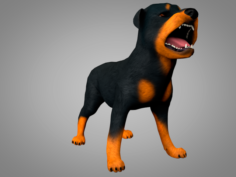 Dog Rottweiler 3D Model