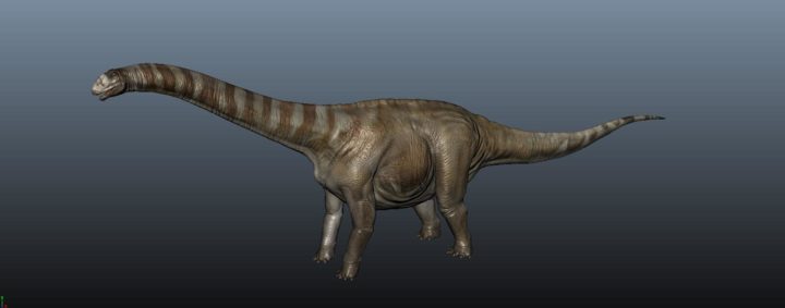 Apatosaurus 3D Model