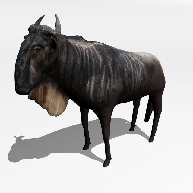 Anthelope Gnu 3D Model